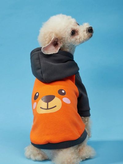 PETSIN 1pc Cartoon Bear Pattern Pet Hoodie