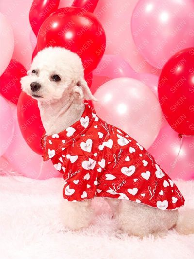 PETSIN 1pc Valentine's Day Pink Heart/Red Cat & Dog Printed Shirt For Pets