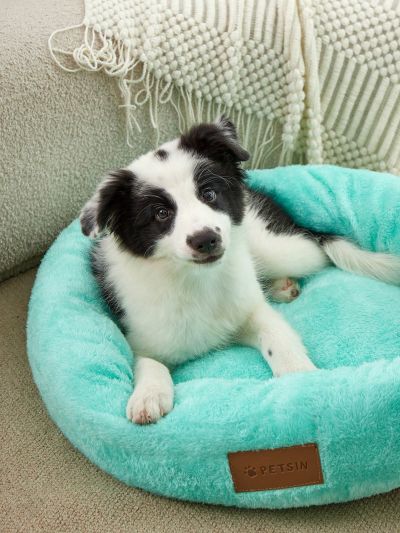 PETSIN Green Short Plush Warm Deep Sleep Pet Bed Round Cushion, Suitable For Cats And Dogs, Removable And Washable