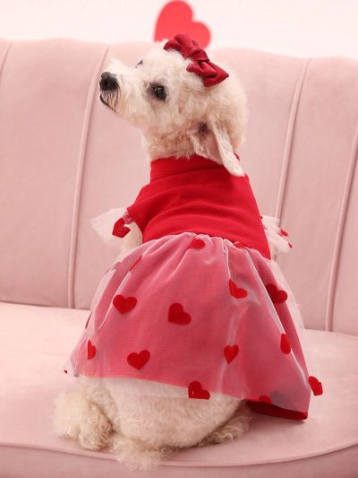 PETSIN Valentine's Day Red Mesh Heart Design Pet Dress
