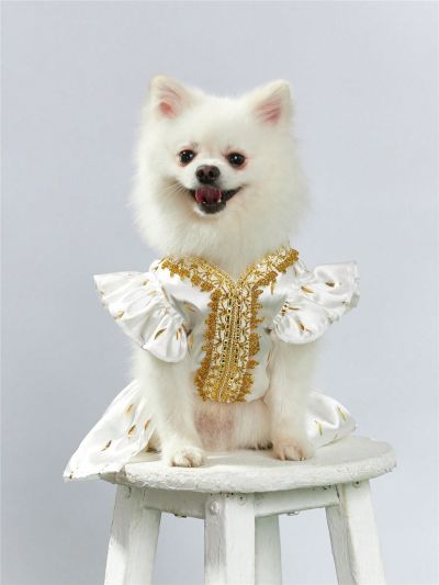 PETSIN Gold Foil Printed Satin Pet Dress With Delicate Lace Trim, Glamorous Clothes Suitable For Both Cats And Dogs