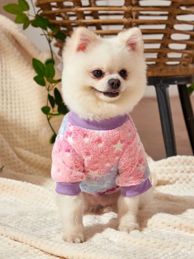 PETSIN (With Night Light) Rainbow Gradient Luminous Star Print Flannel Pet Sweater Without Hood, 1pc