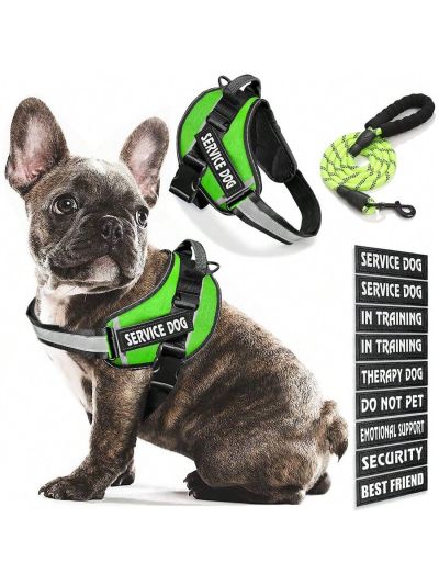 BB Brotrade Dog Vest,9 Dog Patches No Pull Dog Harness and Leash Set with Handle,Easy On and Off Pet Vest Harness with Night Safe Reflective Straps for Small Medium Large Breed Dogs