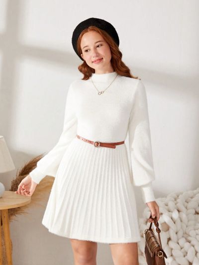 SHEIN Teen Girl Mock Neck Lantern Sleeve Pleated Hem Sweater Dress Without Belt
