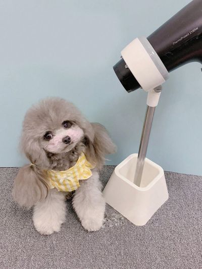 1pc Stainless Steel 180 Degree Rotatable Holder For Hair Dryer And Pet Hair Drying, With Plastic Base, White