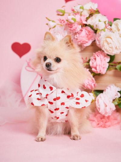 PETSIN Valentine's Day Petsin Red Heart & White Bubble Sleeved Princess Dress Cute Pet Skirt