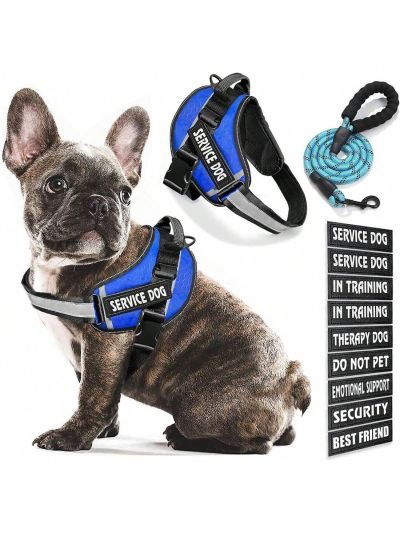 BB Brotrade Dog Vest,9 Dog Patches No Pull Dog Harness and Leash Set with Handle,Easy On and Off Pet Vest Harness with Night Safe Reflective Straps for Small Medium Large Breed Dogs