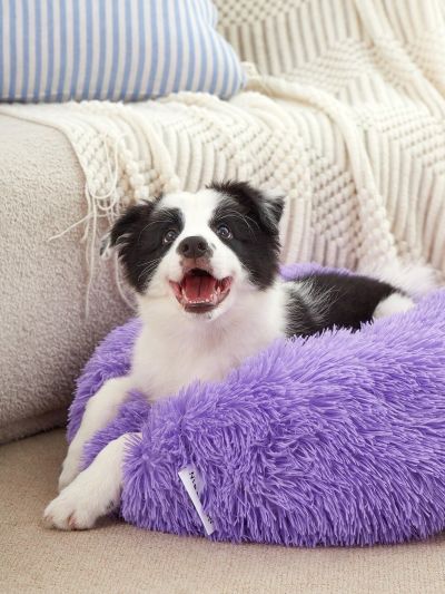 PETSIN Purple Long Plush Warm And Washable Round Pet Cushion Bed For Dogs And Cats