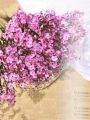Cherry Blossoms Artificial Flowers Baby's Breath Gypsophila Fake Flowers DIY Wedding Decoration Home Bouquet Faux Flowers Branch