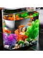 Pvc Acrylic Plastic Fish Tank With Water Plants & Oval Design For Desktop. Transparent. Durable & Unbreakable. Suitable For Office & Home Decoration And As Turtle Tank.