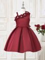 Girls' 3d Flower Decorated Pleated Dress For Autumn And Winter Formal Occasions
