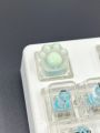 1pc Cute Translucent Abs Resin Key Cap With Anti-scratch Green Cat's Paw Design, Suitable For Mechanical Keyboard