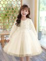 Girls' Big Kids' Soluble Lace Tulle Long Sleeve Dress