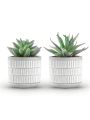 Perfireal 2pcs Succulents Plants Artificial Fake Plants for Living Room Bathroom Bedroom Aesthetic Home Kitchen Decor