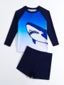Young Boys' Shark Printed Colorblock Long Sleeve Rashguard And Swim Trunks Set