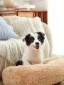 PETSIN Yellow Plush & Deep Sleep Dog & Cat Washable Bed Round Cushion For Winter