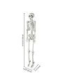 Halloween Decoration Skeleton,Life Size Posable Skeleton with Stake Red Eyes Sound Activated Realistic Human Bones,Halloween Decoration for Indoor Outdoor Spooky Scene Haunted House
