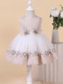 Baby Girl Sleeveless Formal Dress With Flower Embroidery And Mesh Hem