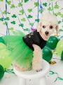 PETSIN St. Patrick's Day Green Mesh Tutu Dress For Pets