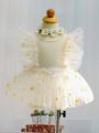 Newborn Baby Girls' Sunflower & Daisy Mesh Romper Dress & Braided Headband Outfit Set