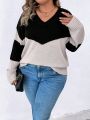 SHEIN LUNE Plus Two Tone Drop Shoulder Sweater