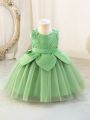 Baby Girl Embroidered Floral Applique Mesh Tulle Party Dress