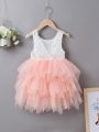 SHEIN Kids CHARMNG Toddler Girls Colorblock Lace Bodice Layered Mesh Hem Dress