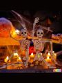 JOYIN 2 PCS 16 Inches Halloween Skeletons Full Body Posable Joints Skeletons for Halloween Graveyard Decorations, Haunted House Accessories