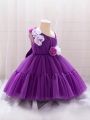 Infant Girls' 3d Floral Tulle Puffy Party Dress