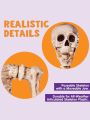 JOYIN 5.6 FT Life Size Skeleton Full Body Realistic Human Bones with Posable Joints for Halloween Pose Skeleton Prop Decoration, Indoor and Outdoor Use