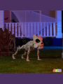 JOYIN 16” Halloween Poseable Puppy Skeleton Pose-N-Stay Plastic Dog Bones for Halloween Indoor Outdoor Decor Spooky Scene Party Favors Decor