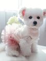1pc Pet Clothes For Dogs And Cats, Autumn And Winter Warm Cow Patterned Couple Clothes With Skirt Design