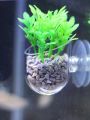 1pc Plastic Fish Tank Landscape Cup