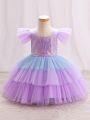 Baby Girl Glitter Panel Color Block Multi-Layer Tulle Formal Dress, Perfect For Birthday Party, Evening Party, Wedding, Full Month Celebration Etc.