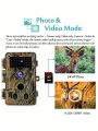 BlazeVideo 2-Pack 24MP 1296P H.264 Outdoor Waterproof Trail Game & Deer Cameras with No Glow Night Vision Video Motion Activated 0.1S Trigger Time for Wildlife Hunting and Home Security Surveillance