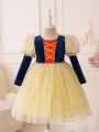 Little Girls' Color-block Mesh Party Dress With Leg-of-mutton Sleeve