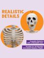 JOYIN 5 PCS Posable Halloween Skeletons 16 Inches Full Body Posable Joints Hanging Skeletons for Graveyard Decorations, Haunted House Accessories, Spooky Scene Party Favors