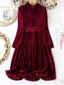 Women's Plus Size Solid Colored Stand Collar Velvet Dress