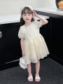 Toddler Girls' Patchwork Lace Mesh Dress