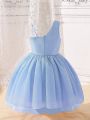 Kids' Princess Style Mesh Dress, Perfect For Parties, Autumn
