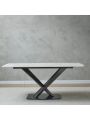 Montary Modern Dining Table Sintered Stone Dining Room Table Marble Top and Solid Gold Carbon Steel Base, 63