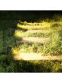 EDISHINE 3.2W Low Voltage LED Landscape Lights with 35° Beam Angle, 240LM 3000K Outdoor Landscape Lighting, CRI 80, Waterproof Led Landscape Lights for Trees, Yard, Garden, ETL Listed, 4 Pack