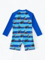 Baby Boys' Long Sleeve One-Piece Swimsuit With Random Print, Summer Beach Sun Protective Swimwear