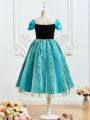 SHEIN Tween Girl Floral Embroidery Mesh Overlay Puff Sleeve Party Dress