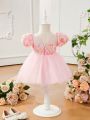 Baby Girl's Romantic And Elegant 3d Rose Flower Mesh Dress
