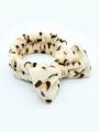 1pc Coral Fleece Fluffy Bath Headband, Cute Leopard Pattern Bow Wide-brimmed Elastic Headband For Make Up & Shower, Autumn & Winter