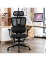 Ergonomic Mesh Office Chair with 4D Adjustable Armrest,High Back Desk Computer Chair,Ergonomic Office Chair with Wheels for Home & Office