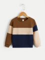 SHEIN Kids EVRYDAY Young Boy Color Block Pullover