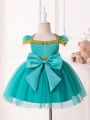 Baby Girls' Ribbon Sequin Mesh Puffy Formal Dress With Tulle