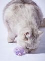 PETSIN Purple Small Mouse Interactive Cat Toy